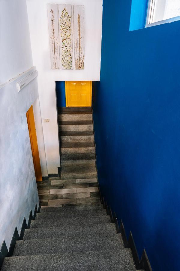 Design Loft Hotel ทิมิชัวรา ภายนอก รูปภาพ